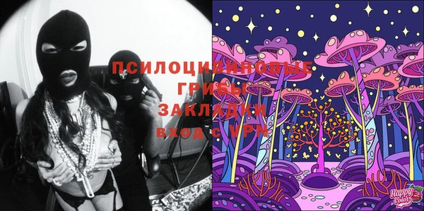 молекула духа Алексин
