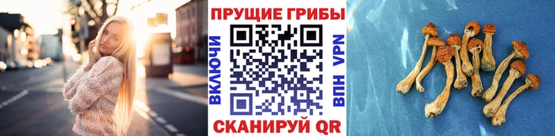 что такое наркотик Макушино Галлюциногенные грибы ЛСД
